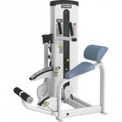 Cybex VR1 Duals Abdominal Back Extension