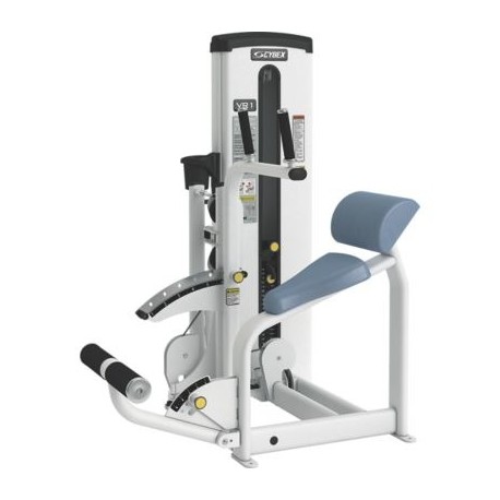 Cybex VR1 Duals Abdominal Back Extension