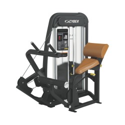 Cybex Eagle Back Extension